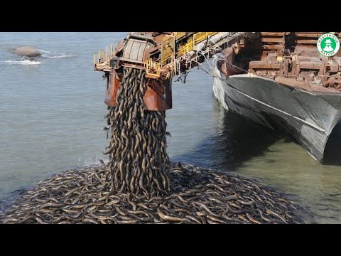 They Let These Creatures LOOSE in the SEA - The AFTERMATH Left SCIENTISTS STUNNED