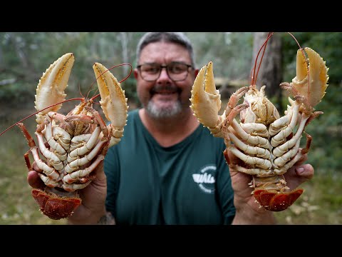 Crayfish Catch And Cook |How To Catch, Cook, Shell And Eat Crayfish
