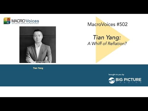 MacroVoices #502 Tian Yang: A Whiff of Reflation?