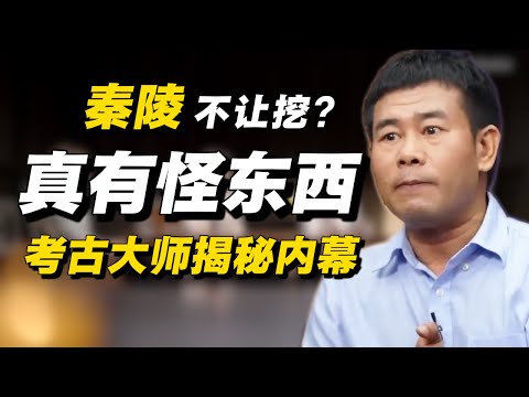 为何秦始皇陵不让挖了?下面真有怪东西?考古大师揭秘内幕!#经济 #推薦 #熱門 #經濟 #圆桌派 #纪实 #时间 #历史 #文化 #聊天 #新闻 #心理健康