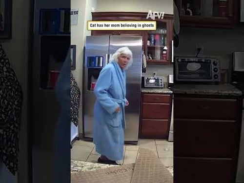 Cat has her mom believing in ghosts