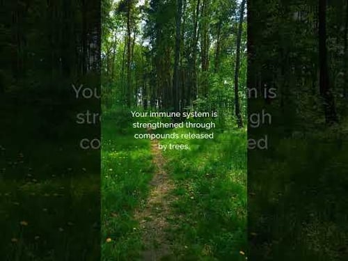 20 Minutes Outside Changes Everything #natureheals #wellness #science