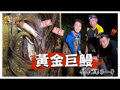 放籠系列|鱸鰻誇張爆網/野貨爆桶/世界第一等與鱸鰻特攻隊合作拍攝。