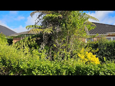 You’ll Be Shocked by How Open the Garden Looks Now! | Satisfying Transformation