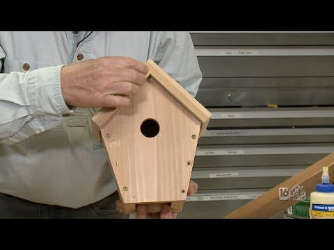 Building A Winter Birdhouse