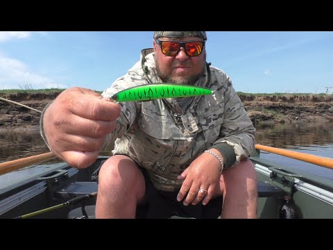 Я БЫЛ УДИВЛЁН, КОГДА ПОМЕНЯЛ ВОБЛЕР! РЫБАЛКА НА СПИННИНГ У ДЕРЕВНИ С ЛОДКИ \ РЫБАЛКА НА ТРОЛЛИНГ!