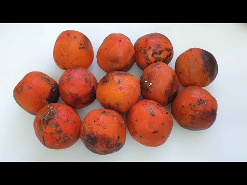 쭈글하고 맛없는 단감이나 홍시 이렇게 드세요 2번 놀랍니다