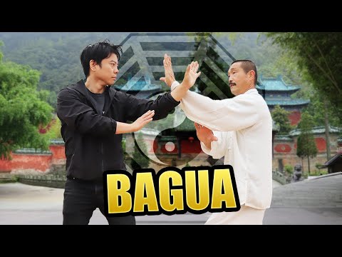 The Secret to Develop Internal Power | Bagua
