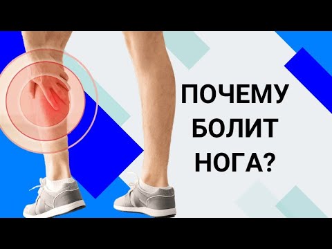 ПОЧЕМУ БОЛИТ НОГА? Сосуды или позвоночник?