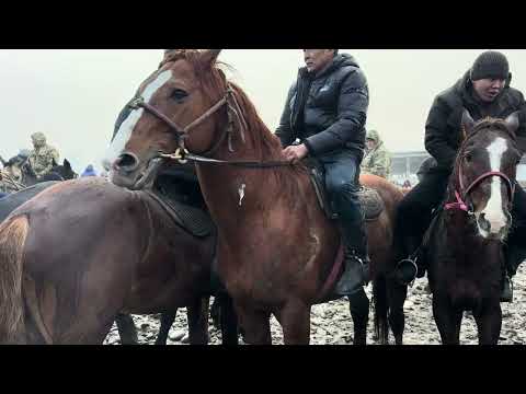 205 МИҢГЕ САТЫЛДЫ ЖАМГЫРДА БАЗАР УШУНДАЙ 🤩 #байтв