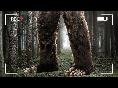 FINDING BIGFOOT 2.0!! (Finding Bigfoot Game)