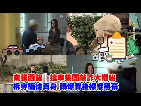 東張西望|撞車集團敲詐大揭秘 拆穿騙徒真身 踢爆背後操縱黑幕|三集足本懶人包|碰瓷黨