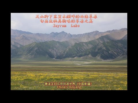 天山脚下塞里木湖畔的西海草原勾画出独具韵味的草原之美