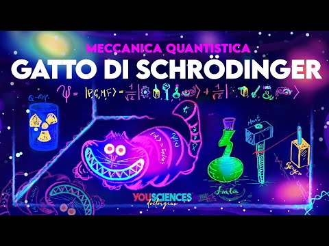 Il Paradosso del GATTO di SCHRöDINGER Come Non L'avete Mai Visto! Svelata la MECCANICA QUANTISTICA!