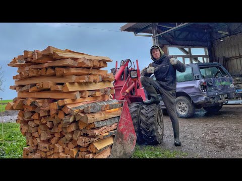 Привезли малих телят Brown Swiss і саморобний дровокол на фермі у Швейцарії