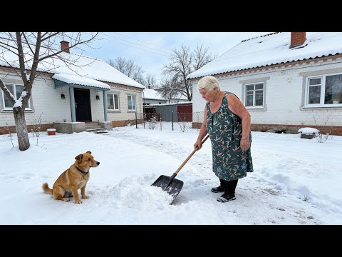 Peaceful Life in the Mountains 🌄 | Solitude, Nature & Simple Joy in the Carpathians