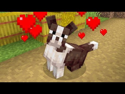 I Added Your Actual Pets To Minecraft