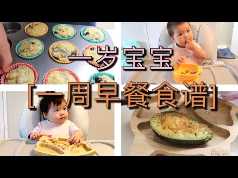 一岁宝宝一周早餐idea|一岁宝宝早餐食谱|牛油果烘蛋|蓝莓玛芬|blueberry muffin|宝宝饺子|芋头菠菜松饼| 一岁辅食| toddler breakfast idea