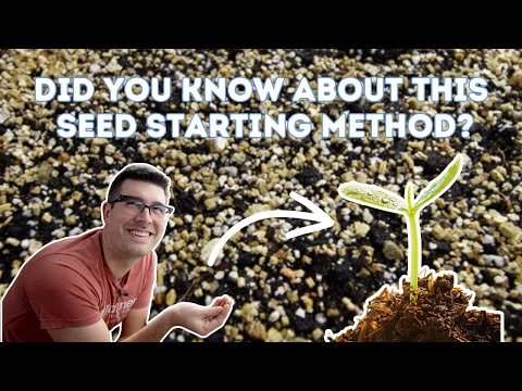 I Learned How to Sprout Finicky Seeds From Working at a Commercial Greenhouse