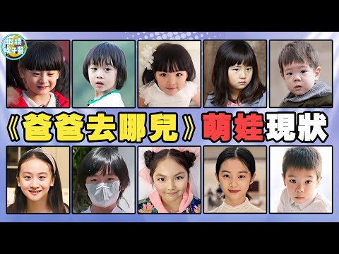 《爸爸去哪兒》六季萌娃現狀!富養王詩齡脾氣大,Kimi高冷不敢認!石頭,郭濤,林志穎,Cindy,田雨橙,田亮,葉一茜,天天,張亮,王詩齡,李湘,王嶽倫,吳鎮宇,費曼,貝兒,陸毅,多多,Grace