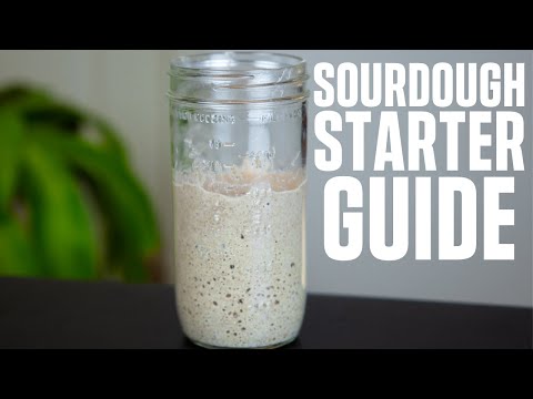 HOW TO MAKE AND MAINTAIN A SOURDOUGH STARTER