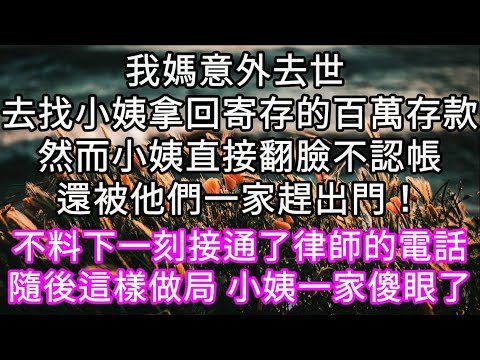 我媽意外去世 去找小姨拿回寄存的百萬存款然而小姨直接翻臉不認帳還被他們一家趕出門!不料下一刻接通了律師的電話隨後這樣做 小姨一家傻眼了#心書時光 #為人處事 #生活經驗 #情感故事 #唯美频道 #爽文
