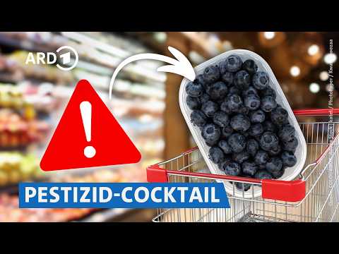 Importierte Heidelbeeren im Test: Pestizide, Schimmel, Vitamine | Markt NDR