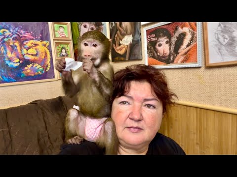 Anfisa is so annoying, no one can hide from her!