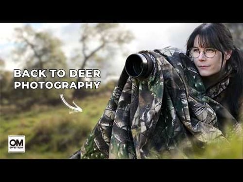 A Deer Photography Journey: Episode 2