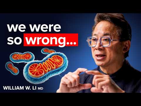 4 Foods to Make New Mitochondria (Scientific Proof) | Dr. William Li