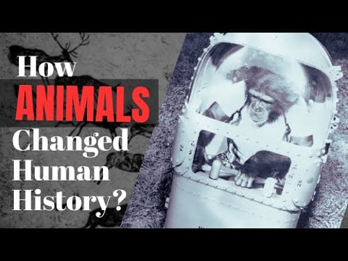 How Animals Changed Human History? The Heroes Who Won Wars and Built Civilizations