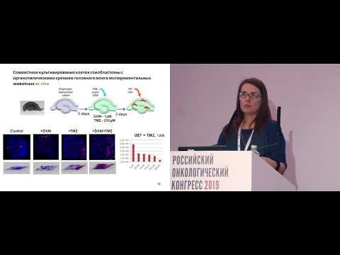 Радиохимиотерапия глиобластомы: изучение молекулярных механизмов в экспериментальной системе in vivo