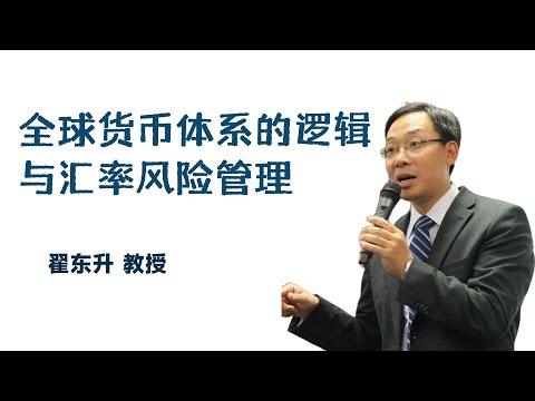 翟东升:全球货币体系的逻辑与汇率风险管理(合集)
