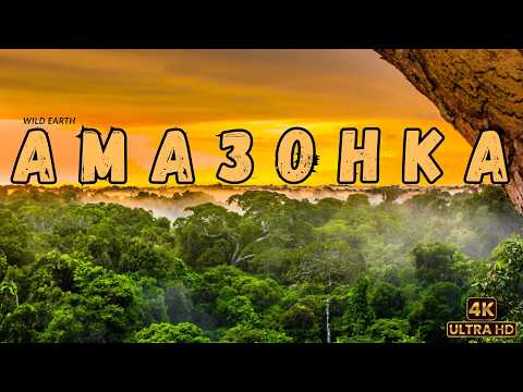 Дикая Амазонка: Легенды джунглей | Wild Amazon: Legends of the Junglе | WILD EARTH |