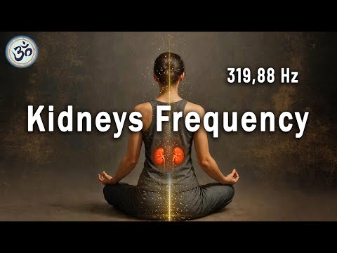 319,88 Hz Kidneys Frequency - Harmonize the Energy of the Kidneys, Let Go of Fear, Tuning Fork