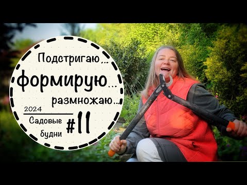 Садовые будни #11☘️Шланг для полива☘️Формирую можжевельник и лавровишню☘️Луковичные ☘️Апрель 2024