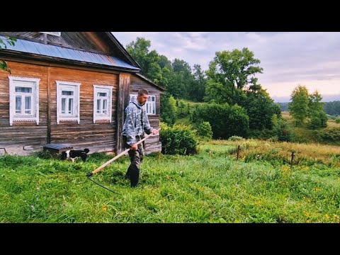 Живу в Тайге. Волки, Рыси, Медведи, Окуни. Пришлось отдать Рыбу.