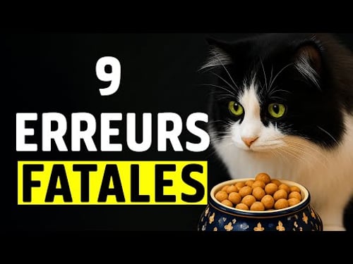 Si vous avez un chat d'intérieur, ne faites jamais ça préviennent les scientifiques