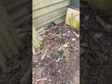 kill black grills!!! #bmw #e39 #e38 #e36 #e46