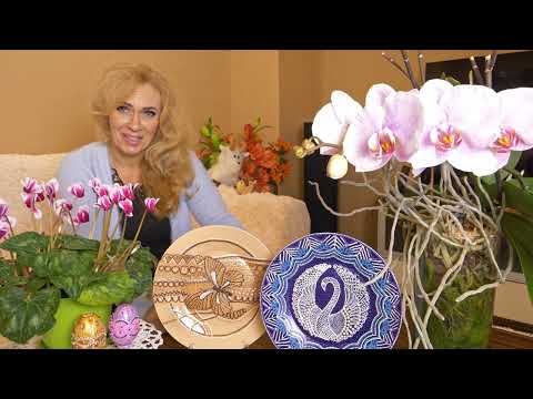 Большая ваза с орхидеей. Корни ПАУТИНА./ Подарки на ПАСХУ./ Цикламен распушился.