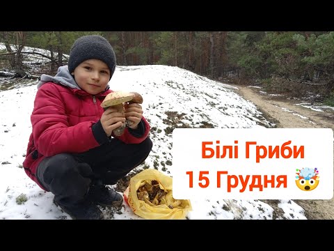 Do mushrooms grow in December?