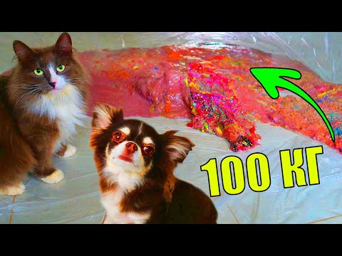 СЛАЙМ 100 КГ ПРОТИВ ПИТОМЦЕВ! УНИЧТОЖИЛИ ЛИЗУН ГИГАНТ КОТОРОМУ ПОЛГОДА