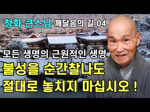 불성을 순간찰나도 놓치지 않고 살아야 합니다 |청화스님 법문 깨달음의 길 04