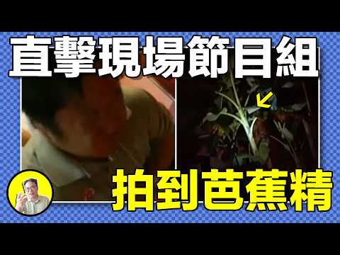 現實聊齋:古書中記載的吸人精血的芭蕉精,香港節目組竟成功召喚,伴隨而來的還有厄運……|總裁聊聊
