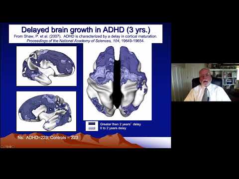 ADHD & Executive Functioning - Part 2 - Neuroanatomy of ADHD