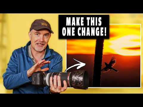 #1 Change That Transformed My Wildlife Photography!