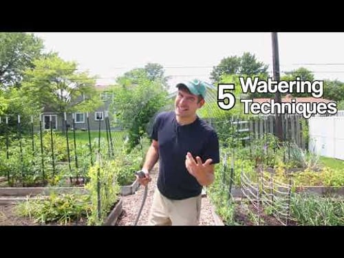 5 Watering Techniques To Take Your Garden To The Next Level