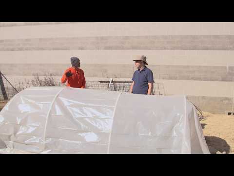 The Family Plot - February 21, 2026