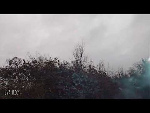 Eva Trecy -Vill Be Respected