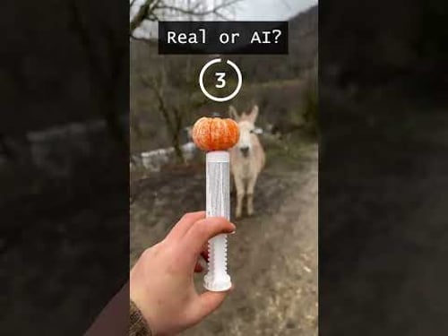 AI or REAL #5